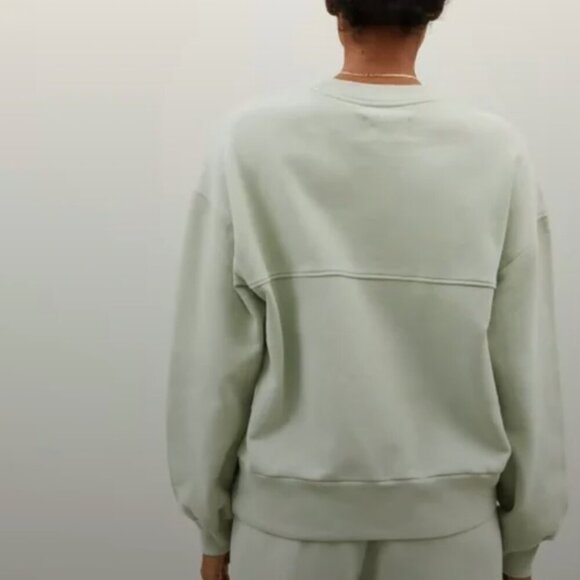 Everlane The Track Oversized Crew Sweatshirt Light Green - Picture 4 of 8
